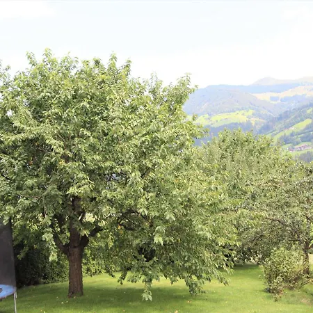Roemerhof-3 By Interhome Apartment Fügen