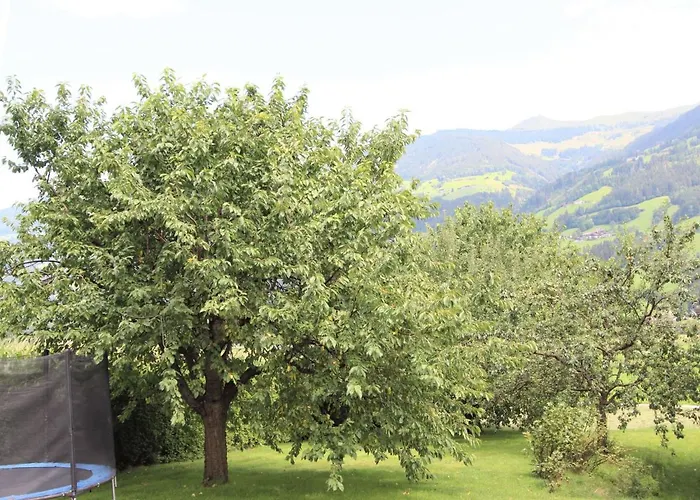 Roemerhof-3 By Interhome Appartement Fügen